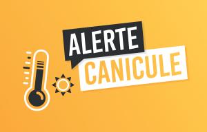 canicule