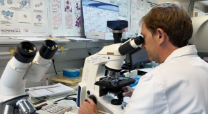 biologiste qui regarde au mircoscope