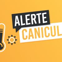 canicule